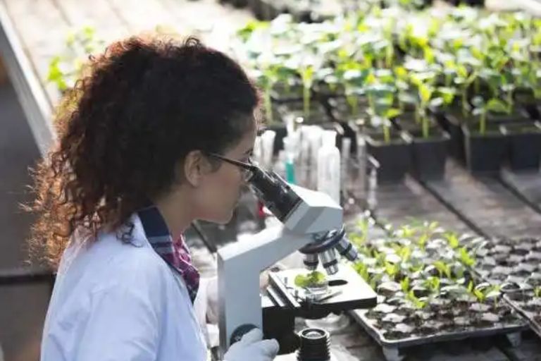 Agriculture Scientist kaise bane in hindi