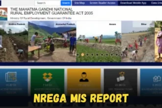 NREGA MIS Report