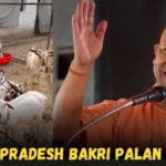 uttar pradesh bakri palan yojana